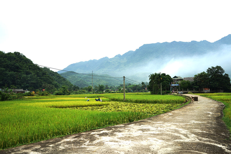 VIETNAM From the Field(3)